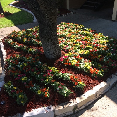 Landscaping Design